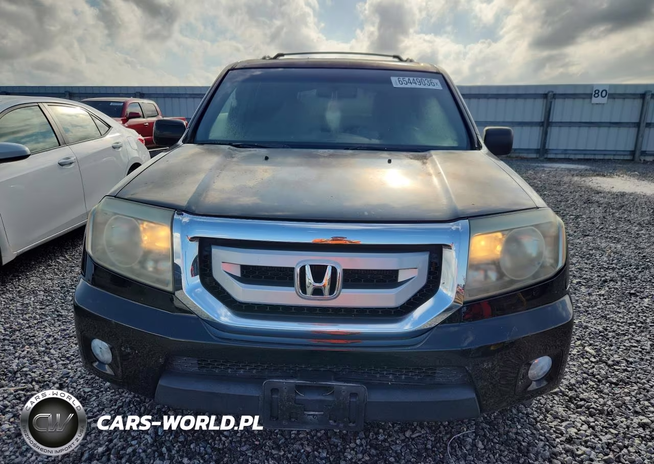 2010 Honda Pilot Exl VIN:5FNYF4H66AB026865 - 5