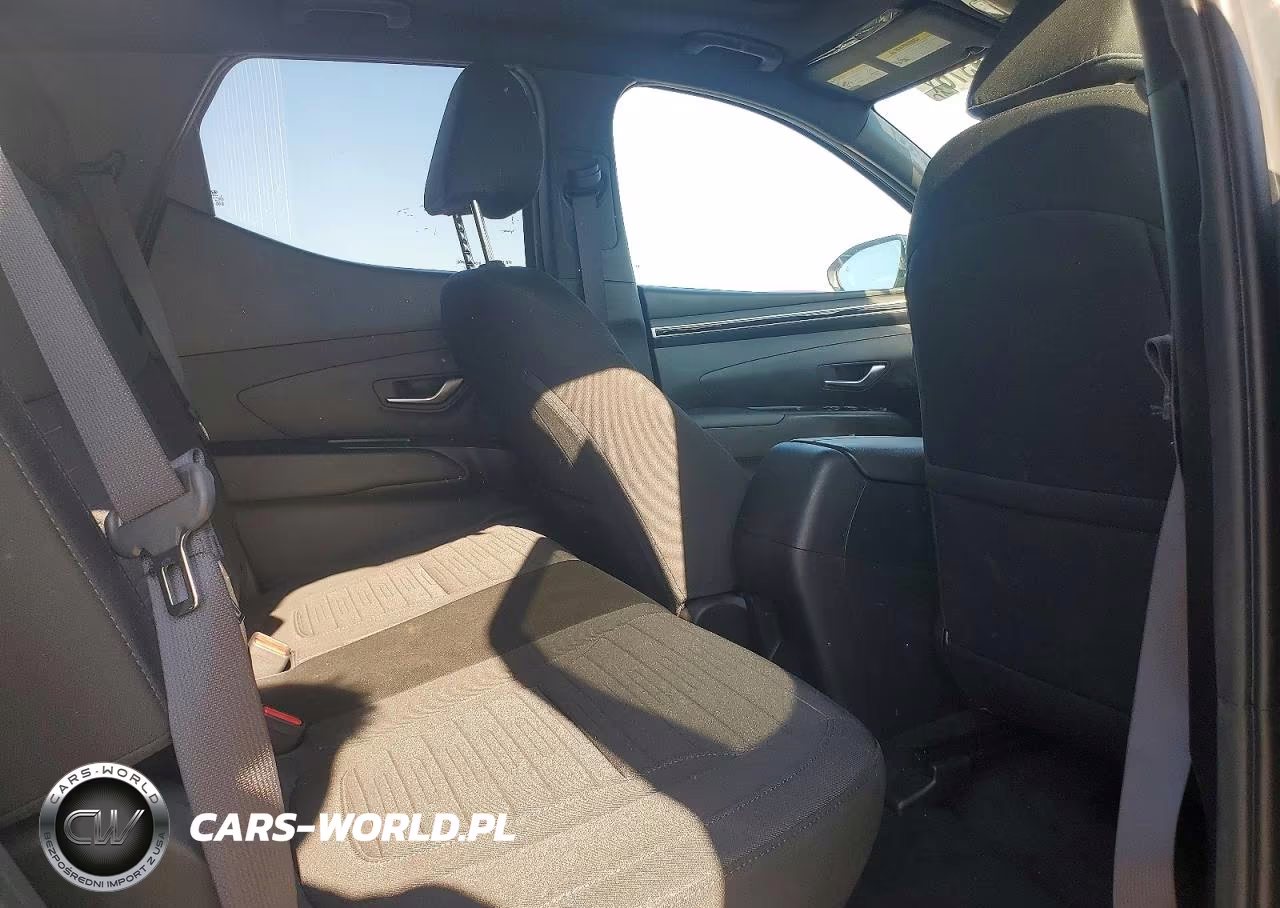 2022 Hyundai Santa Cruz Sel Premium VIN:5NTJDDAF0NH025964 - 10
