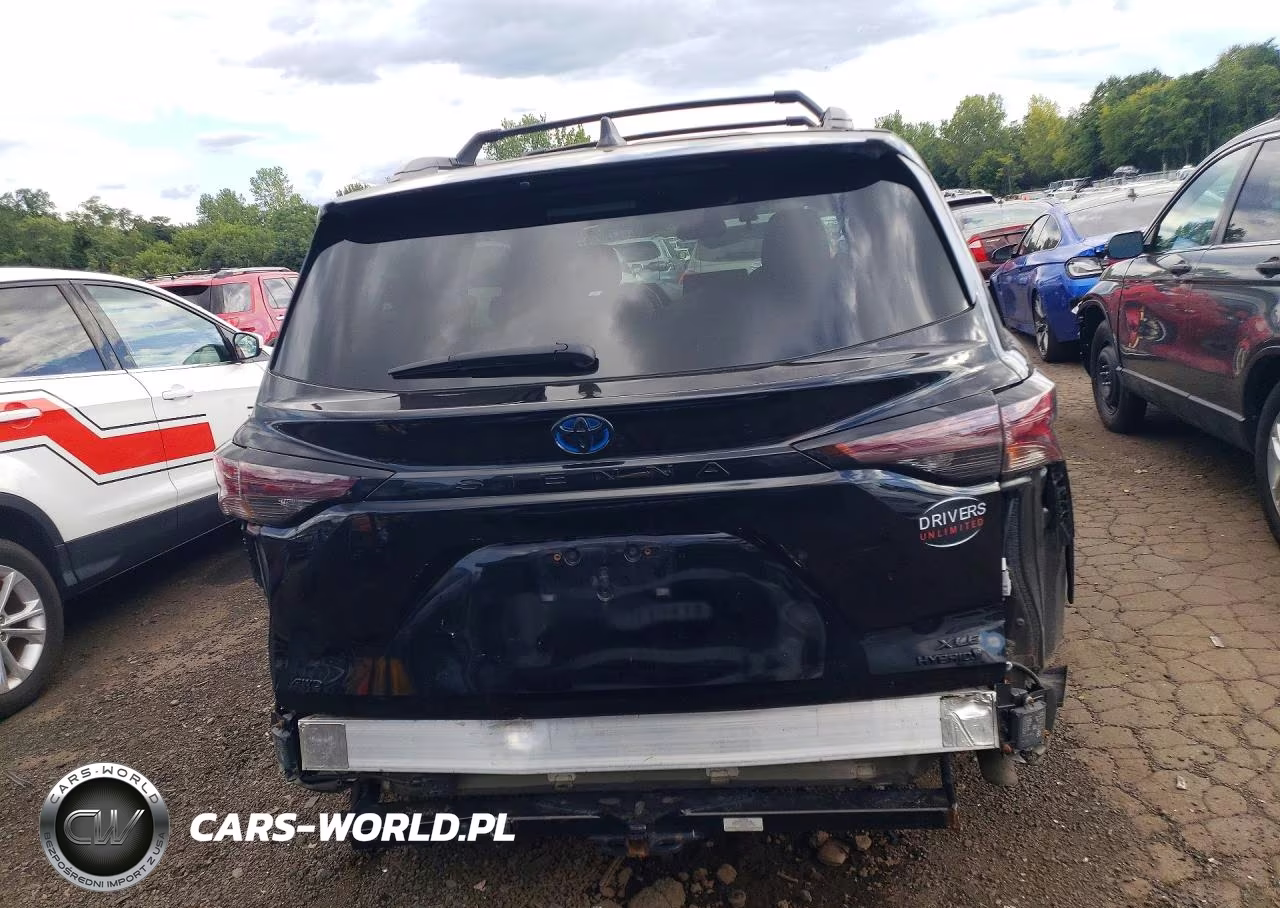 2023 Toyota Sienna Woodland Edition VIN:5TDCSKFCXPS099132 - 6