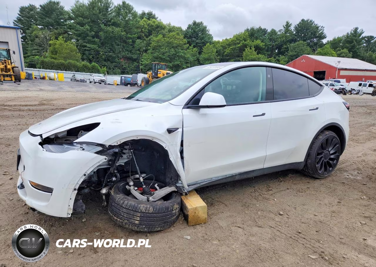 2023 Tesla Model Y VIN:7SAYGDEF1PF910192 - 1