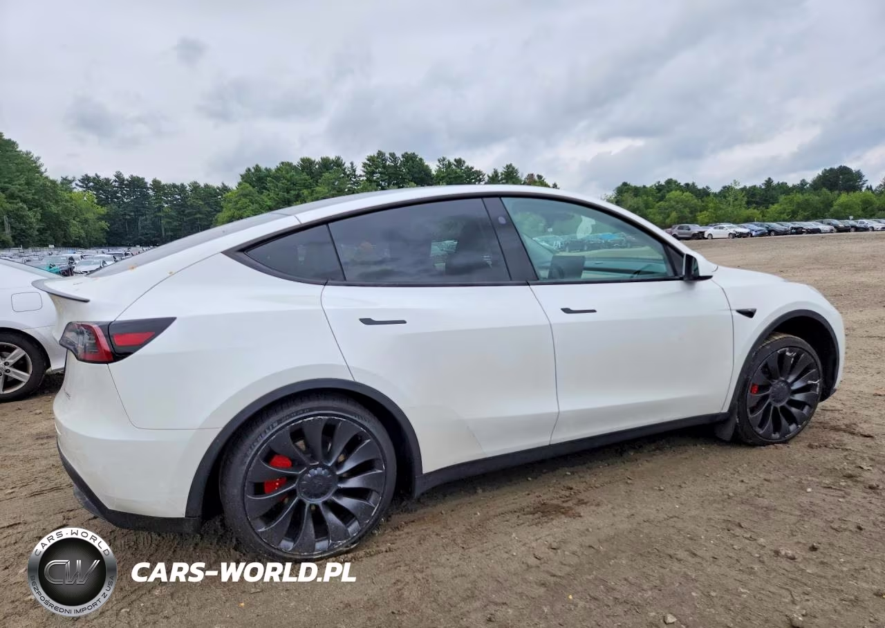 2023 Tesla Model Y VIN:7SAYGDEF1PF910192 - 3
