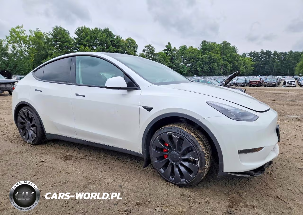 2023 Tesla Model Y VIN:7SAYGDEF1PF910192 - 4