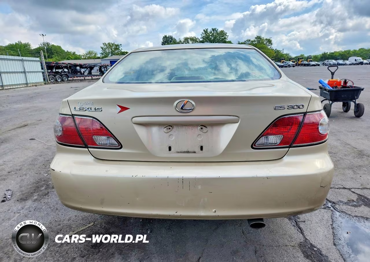 2003 Lexus Es 300 VIN:JTHBF30G636013292 - 6