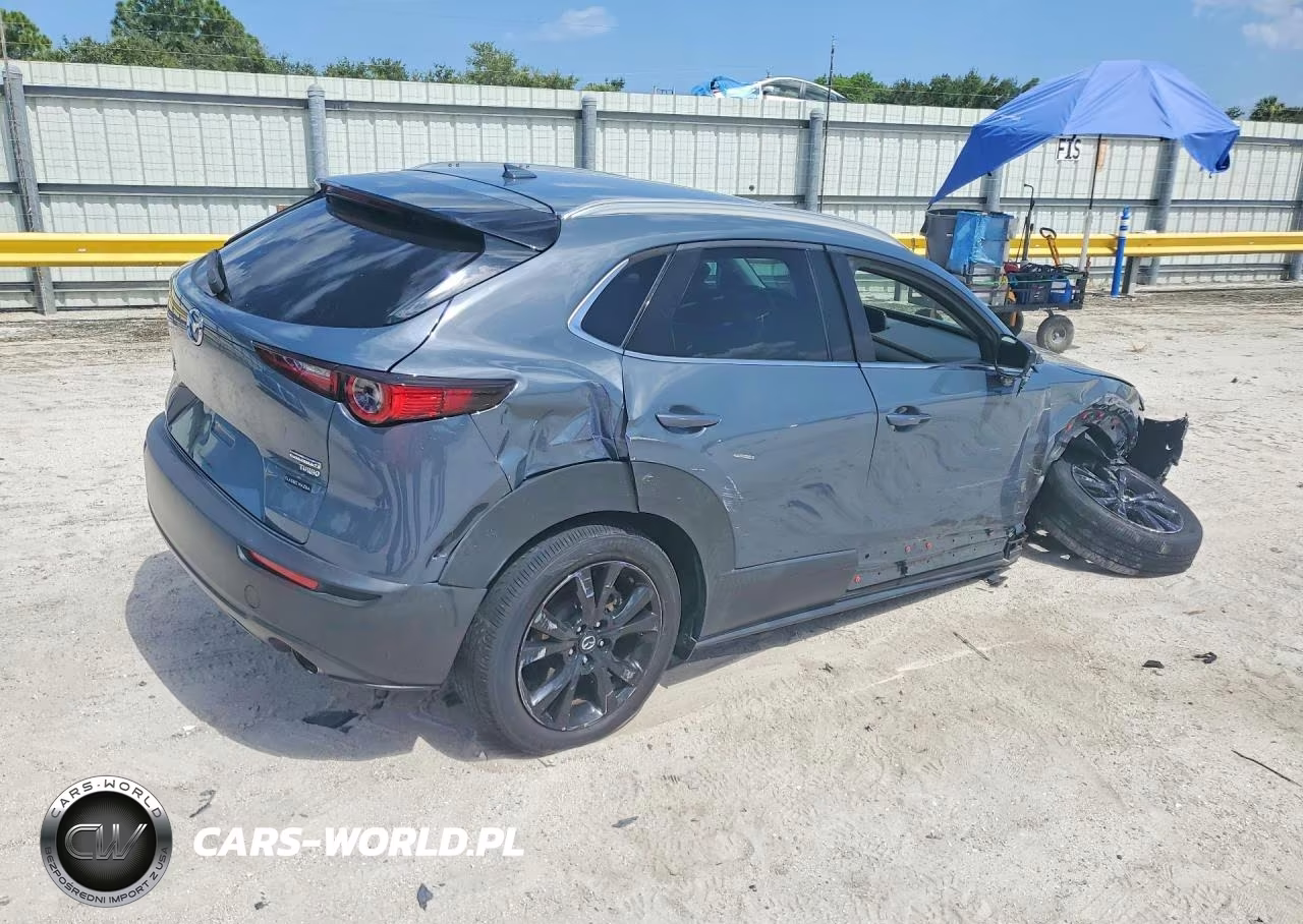 2021 Mazda Cx-30 Premium VIN:3MVDMBDY0MM306375 - 3
