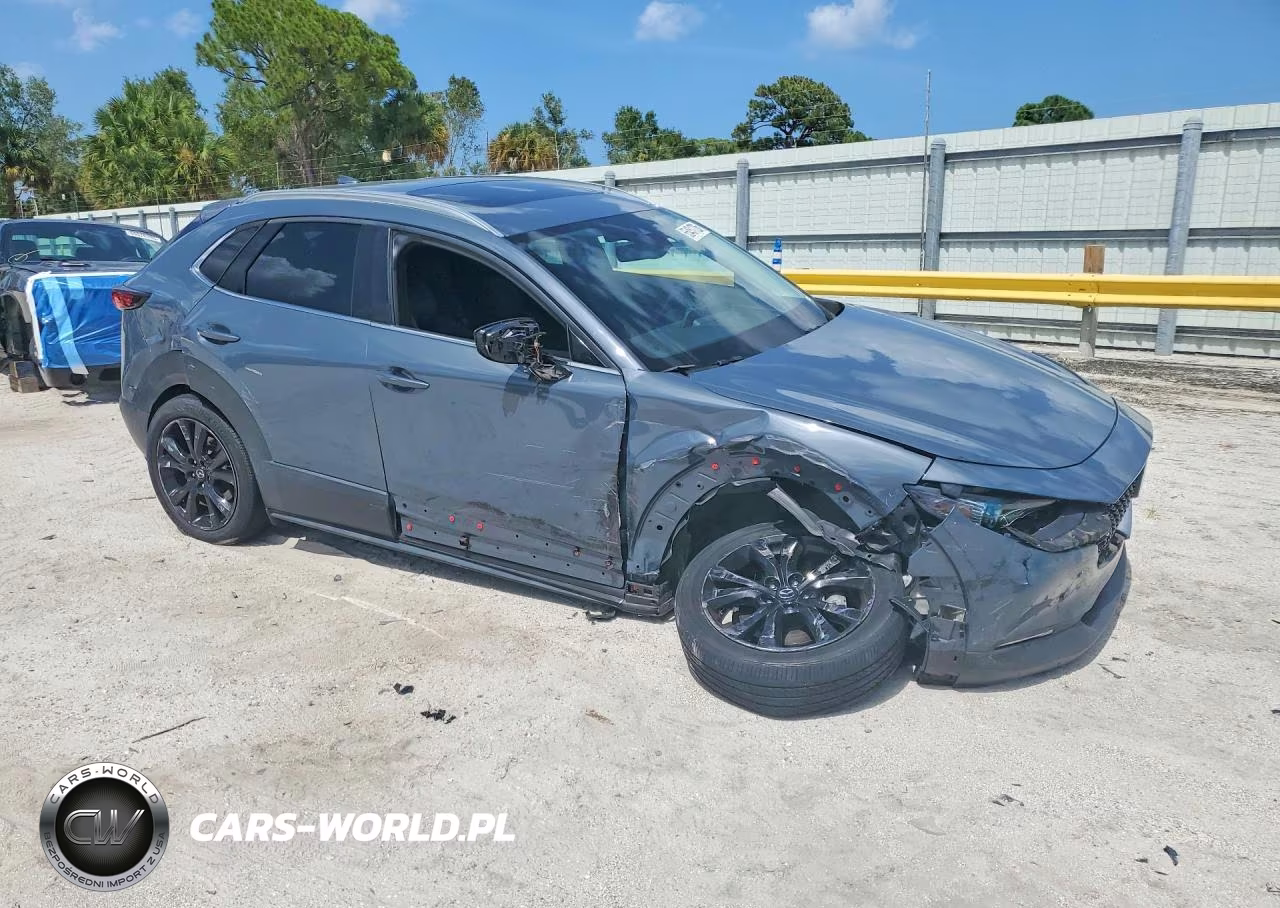 2021 Mazda Cx-30 Premium VIN:3MVDMBDY0MM306375 - 4