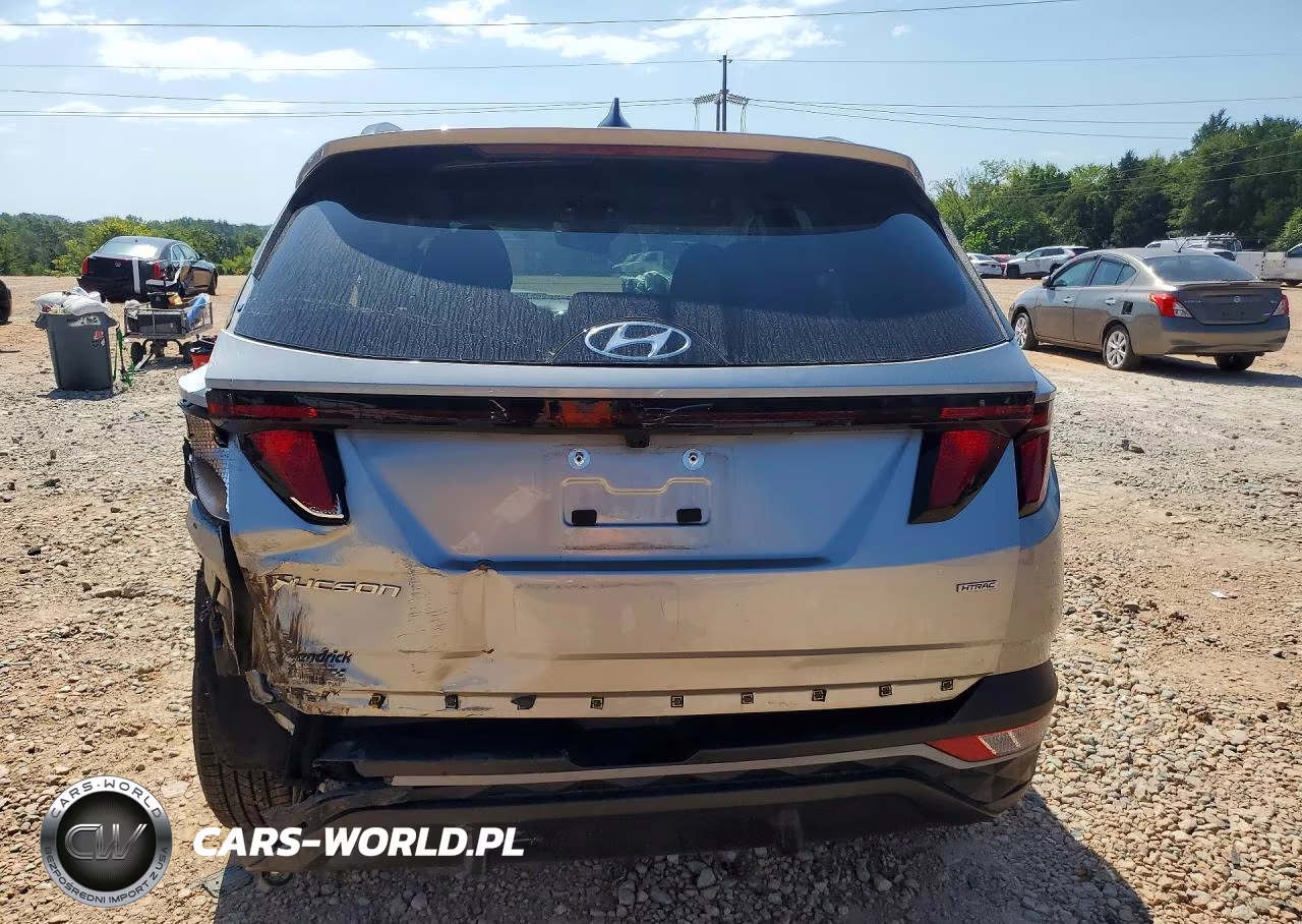 2024 Hyundai Tucson Sel VIN:5NMJBCDE8RH302462 - 6