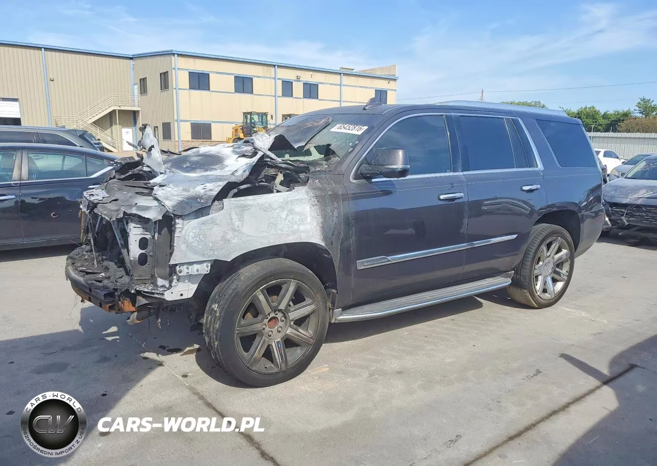 2016 Cadillac Escalade Luxury VIN:1GYS3BKJ2GR103258 - 1