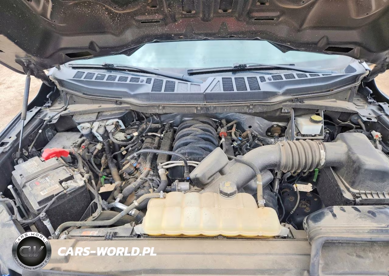 2021 Ford F150 Supercrew VIN:1FTFW1E5XMKF14418 - 11