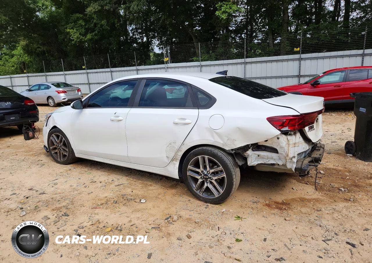 2019 Kia Forte S VIN:3KPF34AD4KE062313 - 2