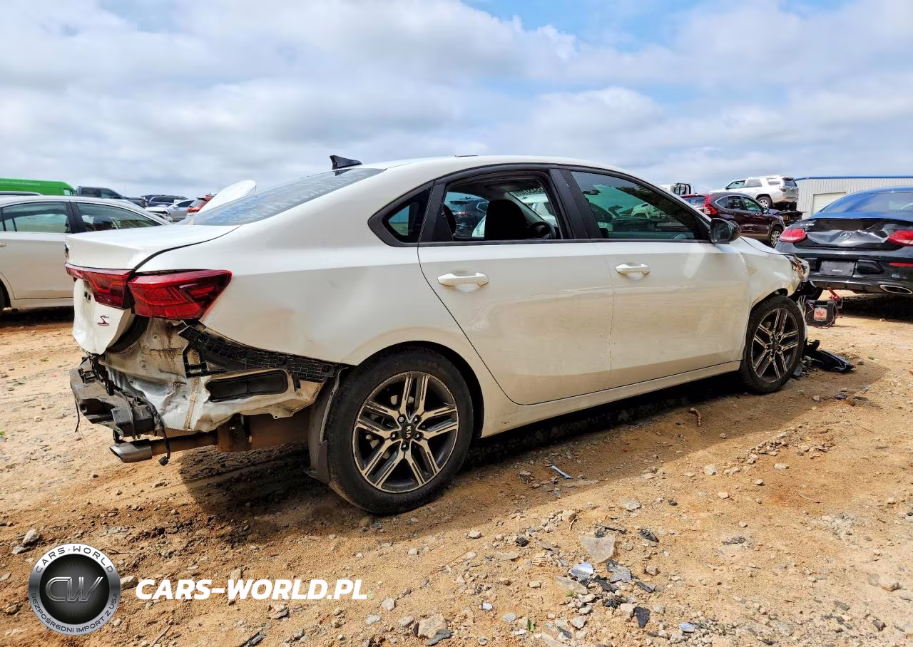 2019 Kia Forte S VIN:3KPF34AD4KE062313 - 3