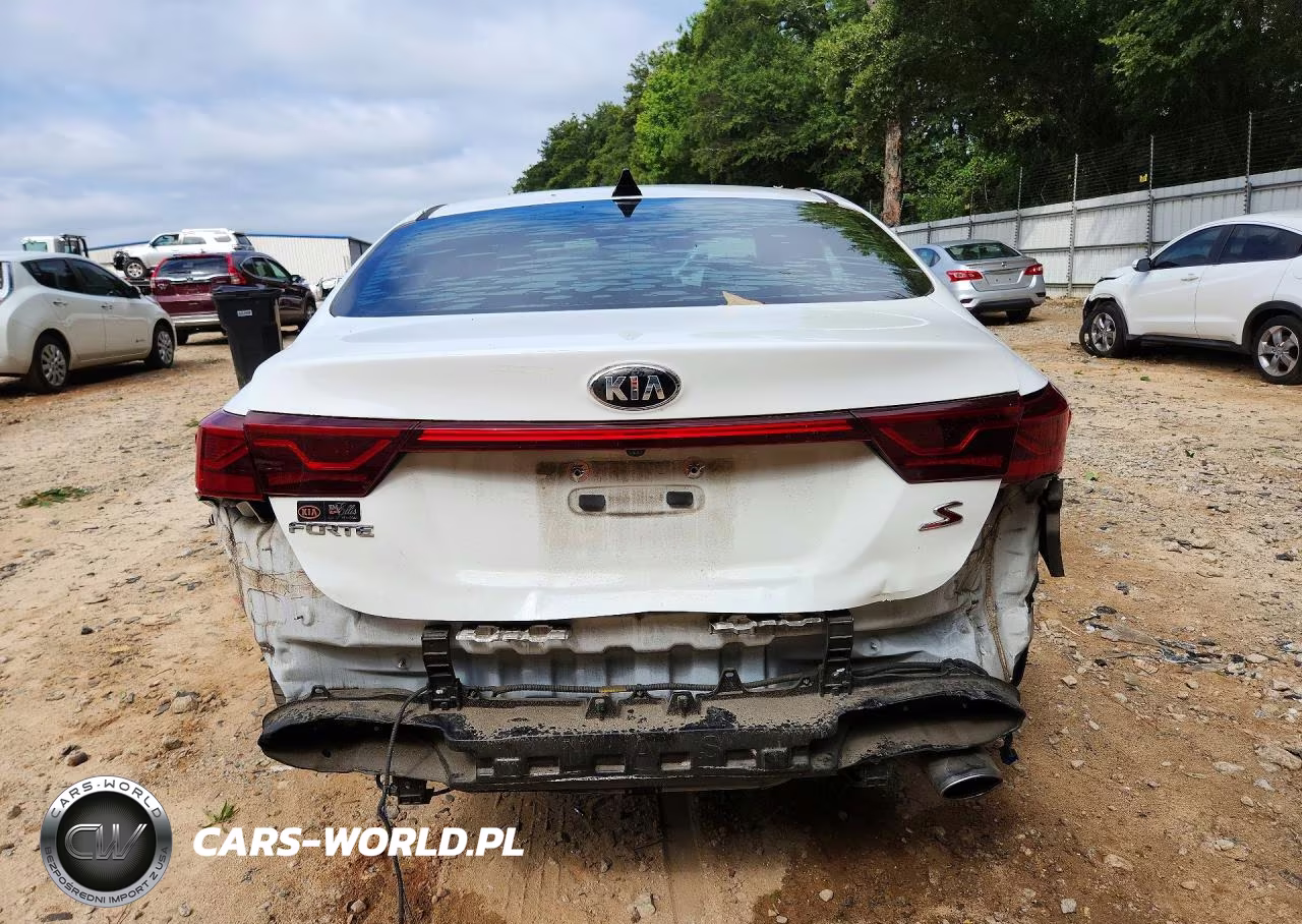 2019 Kia Forte S VIN:3KPF34AD4KE062313 - 6