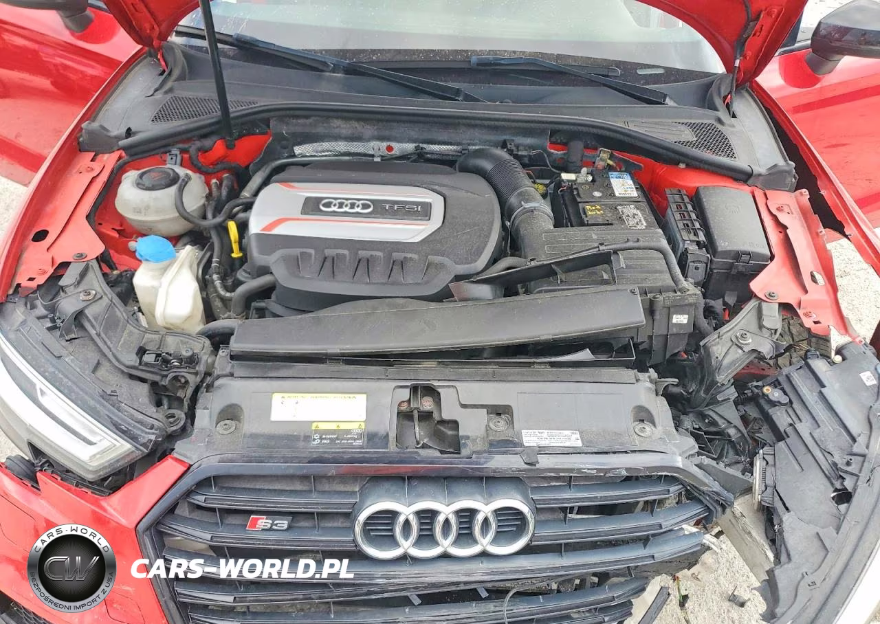 2019 Audi S3 Premium Plus VIN:WAUB1GFF6KA100950 - 11