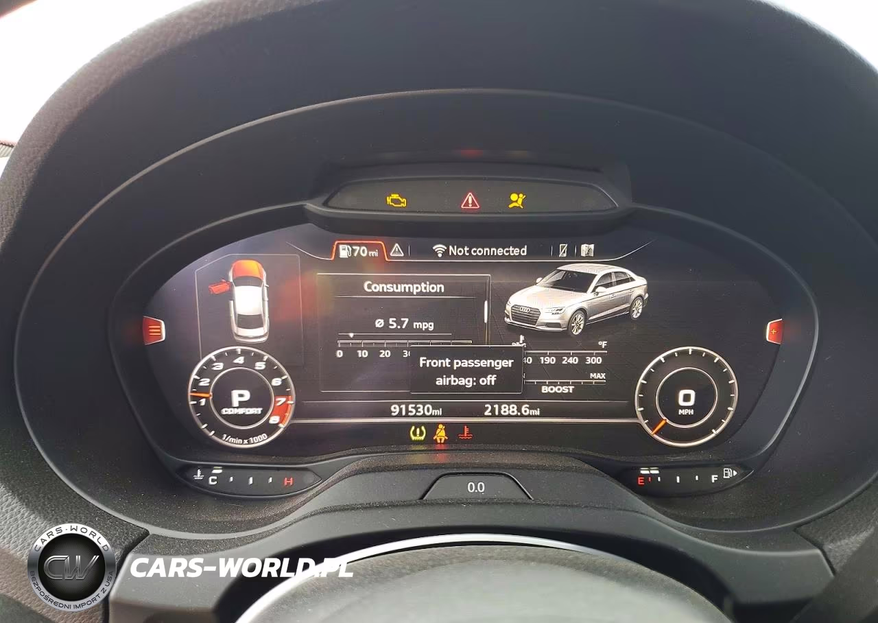 2019 Audi S3 Premium Plus VIN:WAUB1GFF6KA100950 - 9