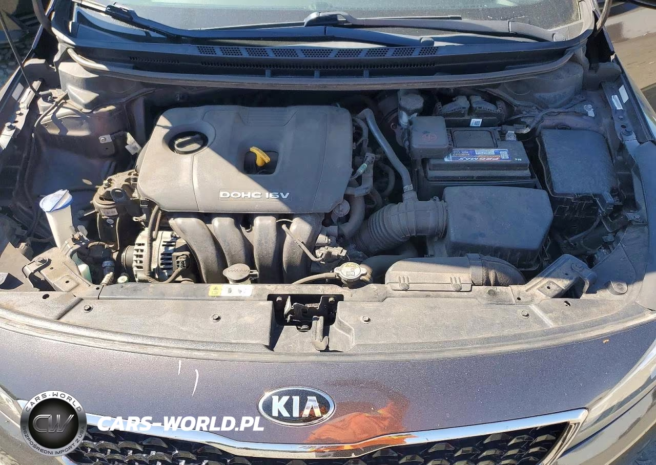 2017 Kia Forte Lx VIN:3KPFK4A7XHE081700 - 11