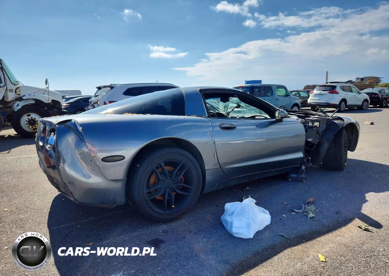 2004 Chevrolet Corvette VIN:1G1YY22G845102679 - 3