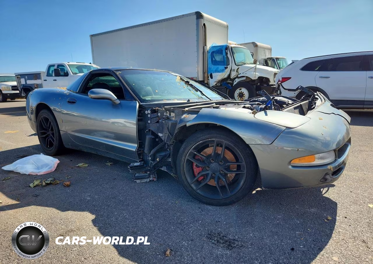 2004 Chevrolet Corvette VIN:1G1YY22G845102679 - 4
