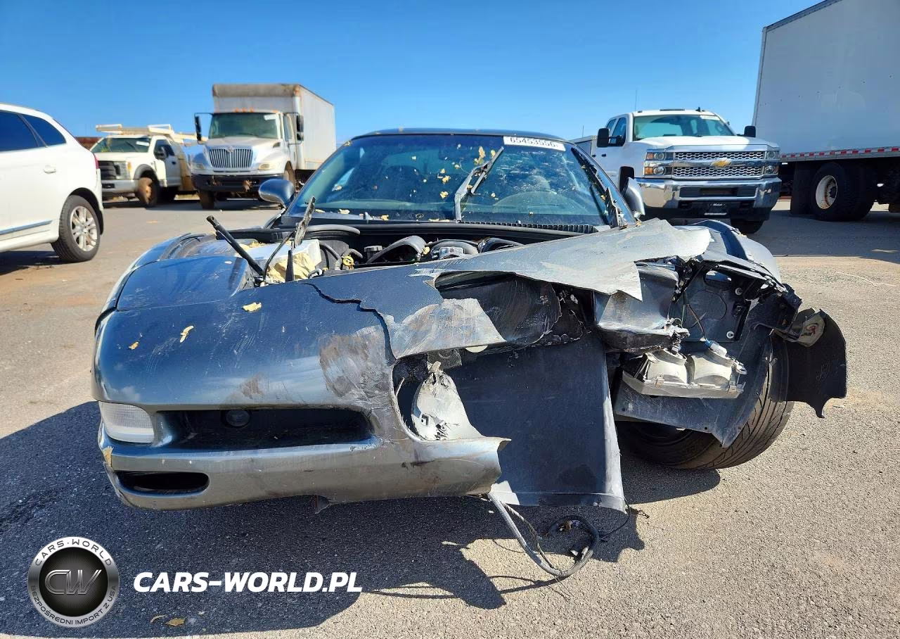 2004 Chevrolet Corvette VIN:1G1YY22G845102679 - 5