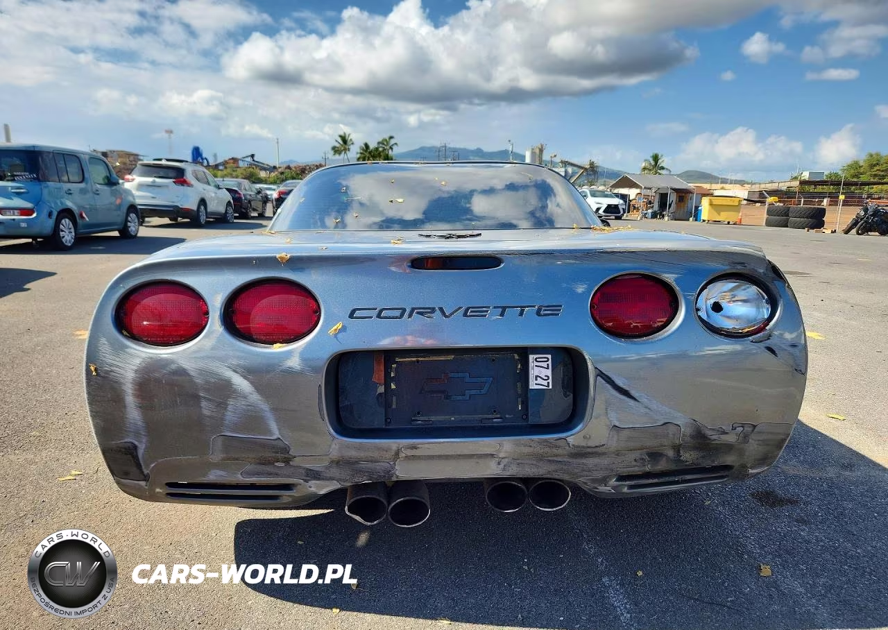 2004 Chevrolet Corvette VIN:1G1YY22G845102679 - 6