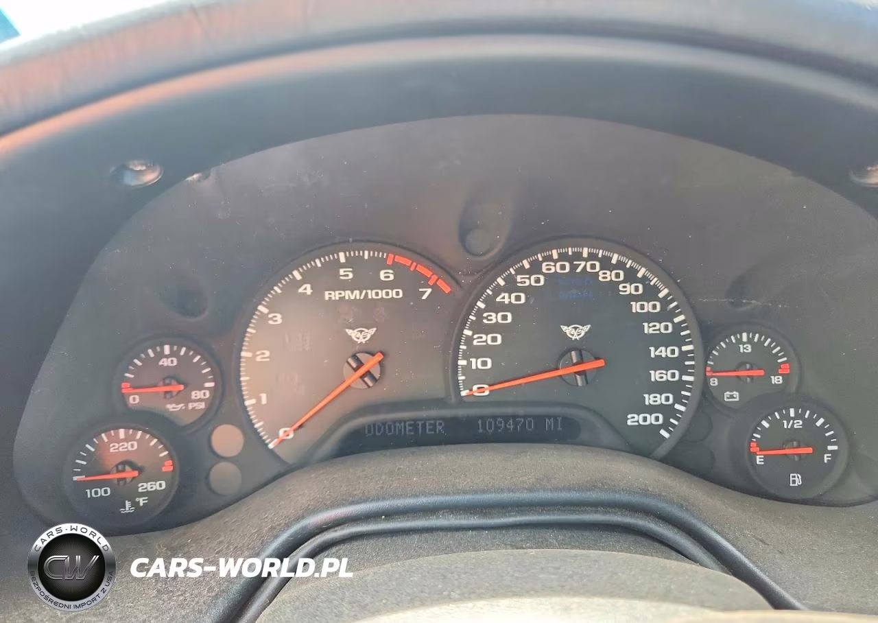 2004 Chevrolet Corvette VIN:1G1YY22G845102679 - 9