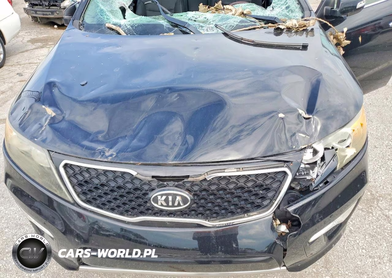 2011 Kia Sorento Sx VIN:5XYKW4A23BG150423 - 11