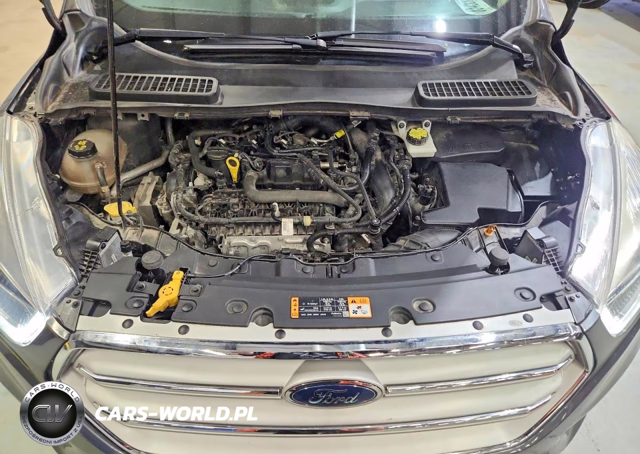 2019 Ford Escape Sel VIN:1FMCU9HD3KUA48693 - 12