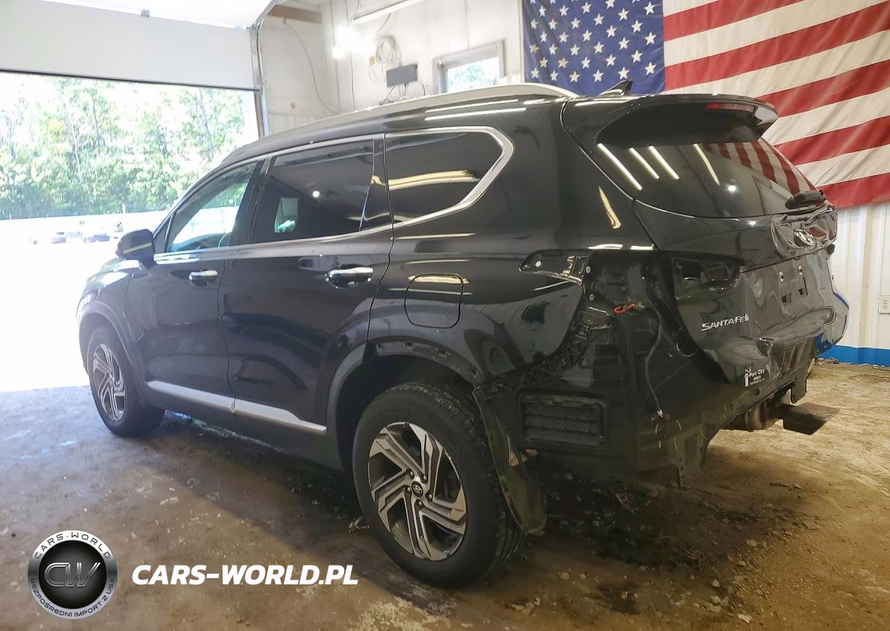2022 Hyundai Santa Fe Sel VIN:5NMS3DAJ9NH432236 - 2