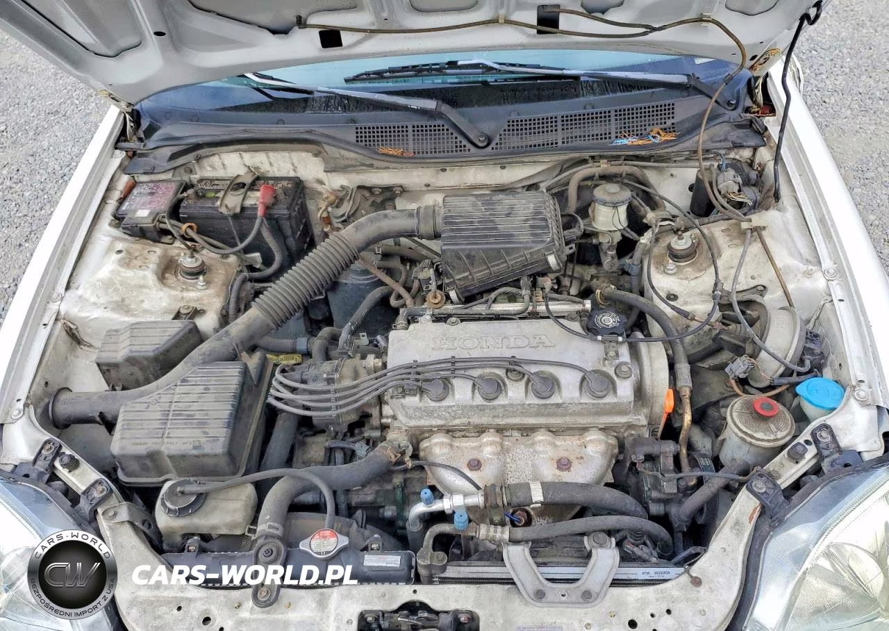 1999 Honda Civic Lx VIN:1HGEJ6679XL019313 - 11