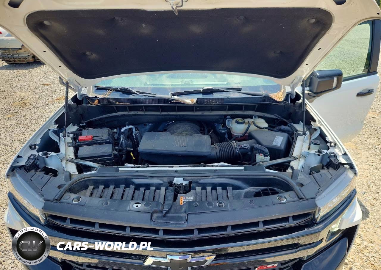 2021 Chevrolet Silverado K1500 Lt Trail Boss VIN:1GCPYFED9MZ255317 - 11