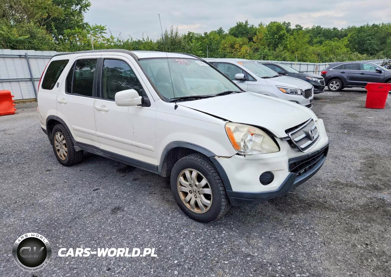 2005 Honda Cr-V Se VIN:JHLRD78965C043077 - 4