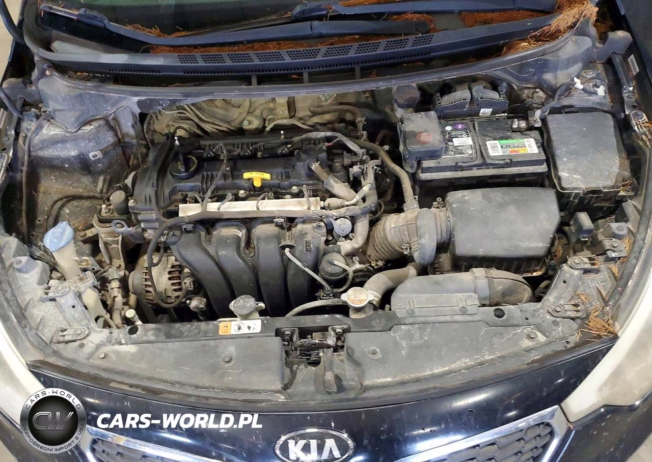 2015 Kia Forte Lx VIN:KNAFX4A68F5383534 - 11