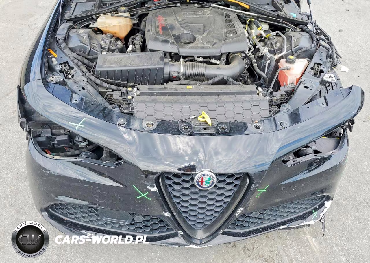 2019 Alfa Romeo Giulia Ti VIN:ZARFAMBN1K7599837 - 11