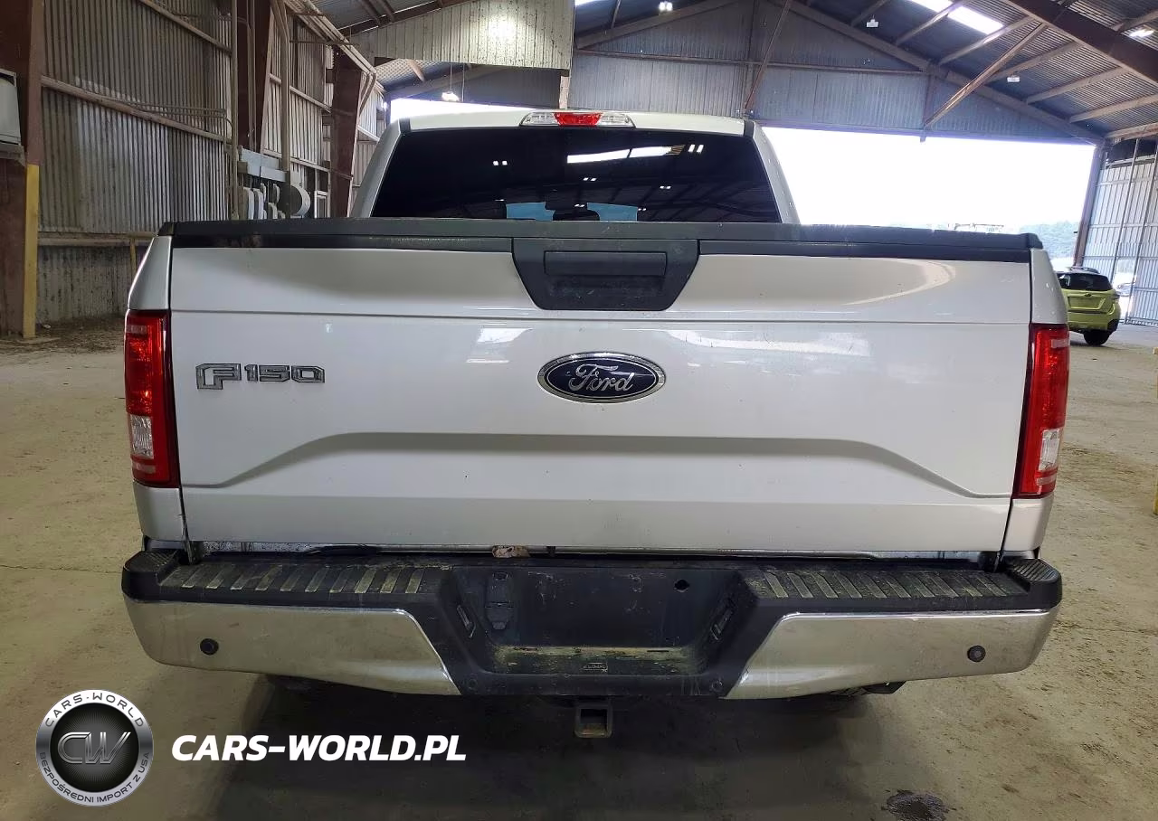 2017 Ford F150 Supercrew VIN:1FTEW1EF8HKD19962 - 6