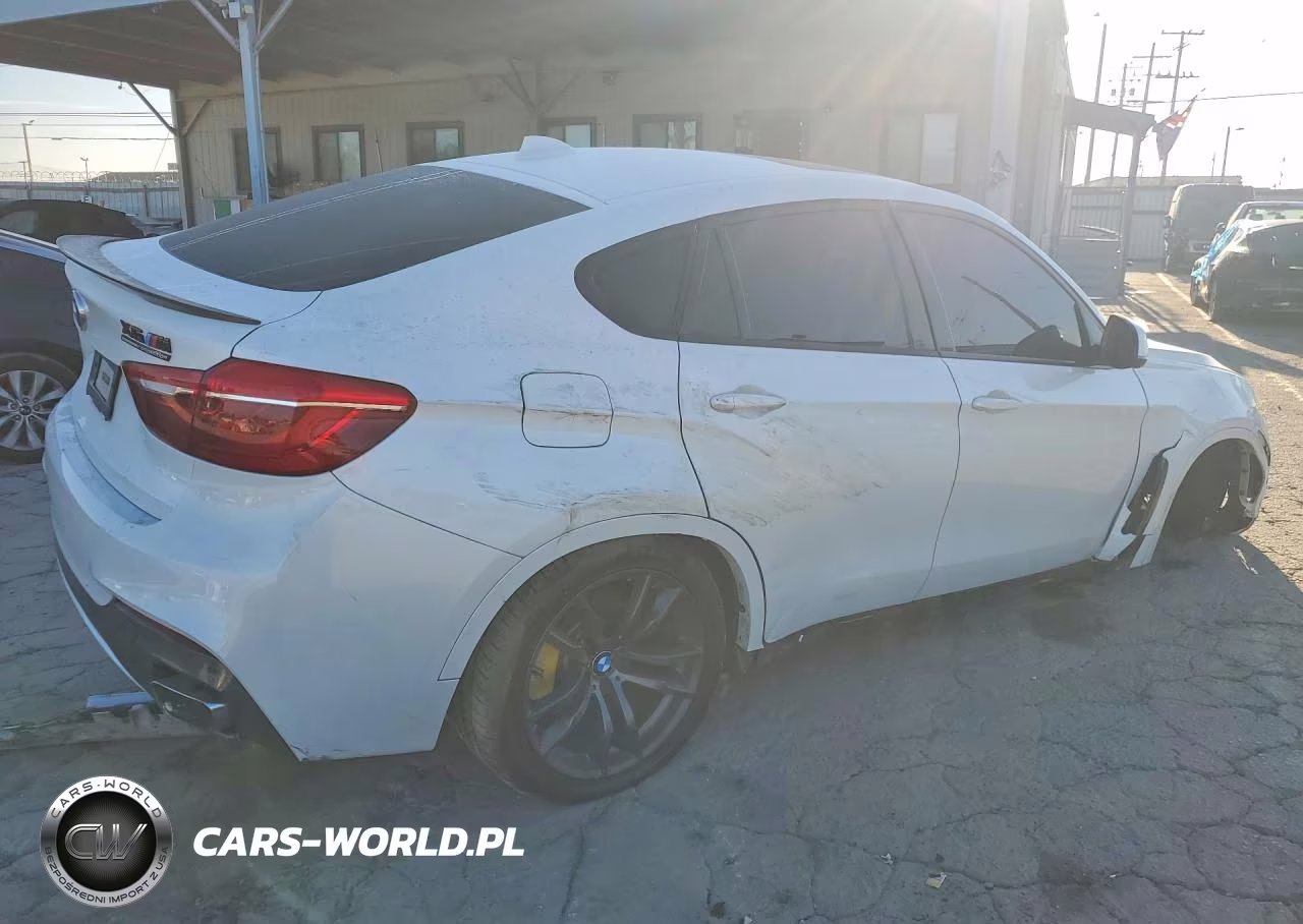 2018 BMW X6 xDrive35I VIN:5UXKU2C56J0X50826 - 3