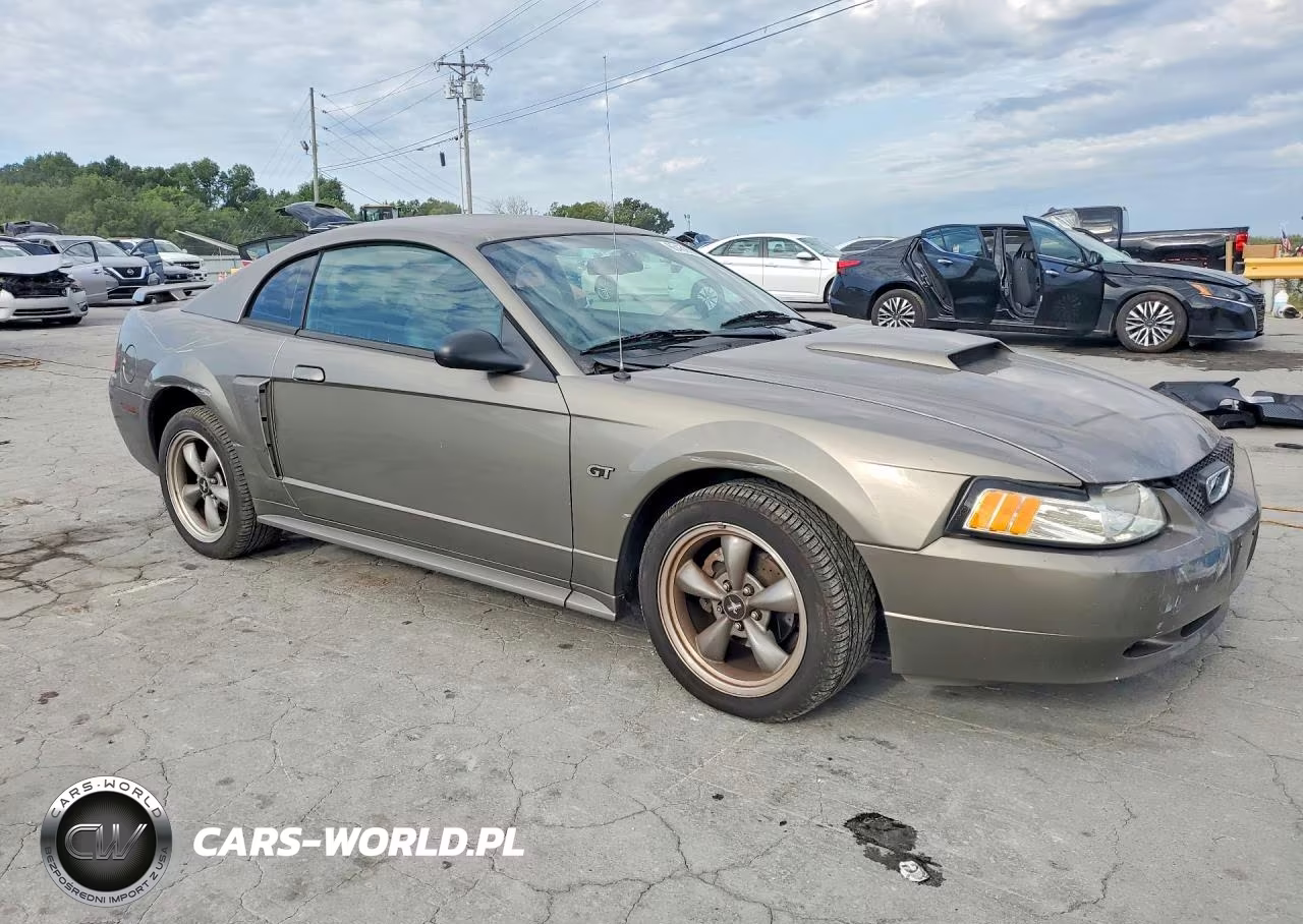 2002 Ford Mustang Gt VIN:1FAFP42X02F140434 - 4