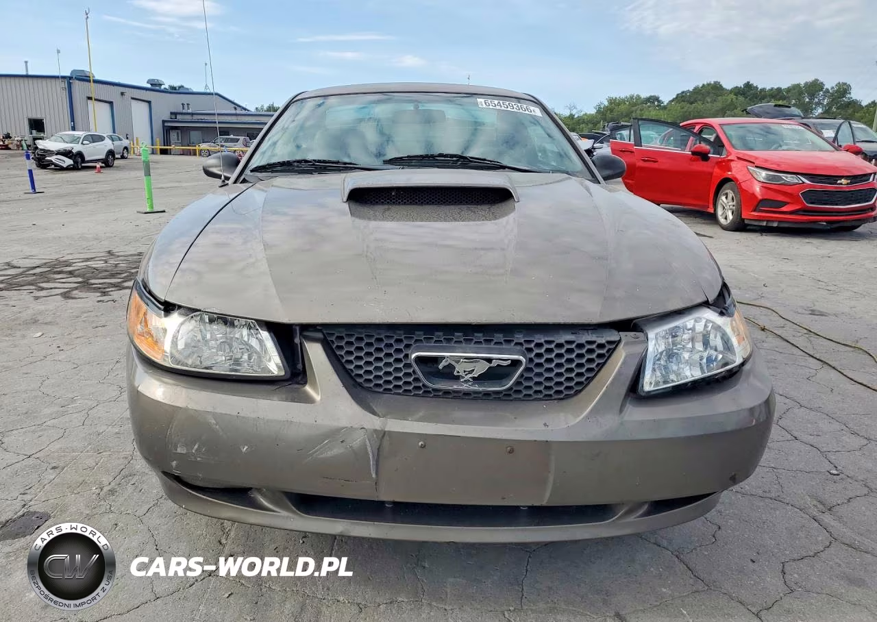 2002 Ford Mustang Gt VIN:1FAFP42X02F140434 - 5