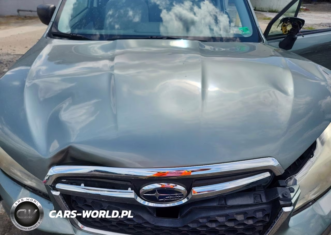 2014 Subaru Forester 2.5I VIN:JF2SJAAC6EH522498 - 12