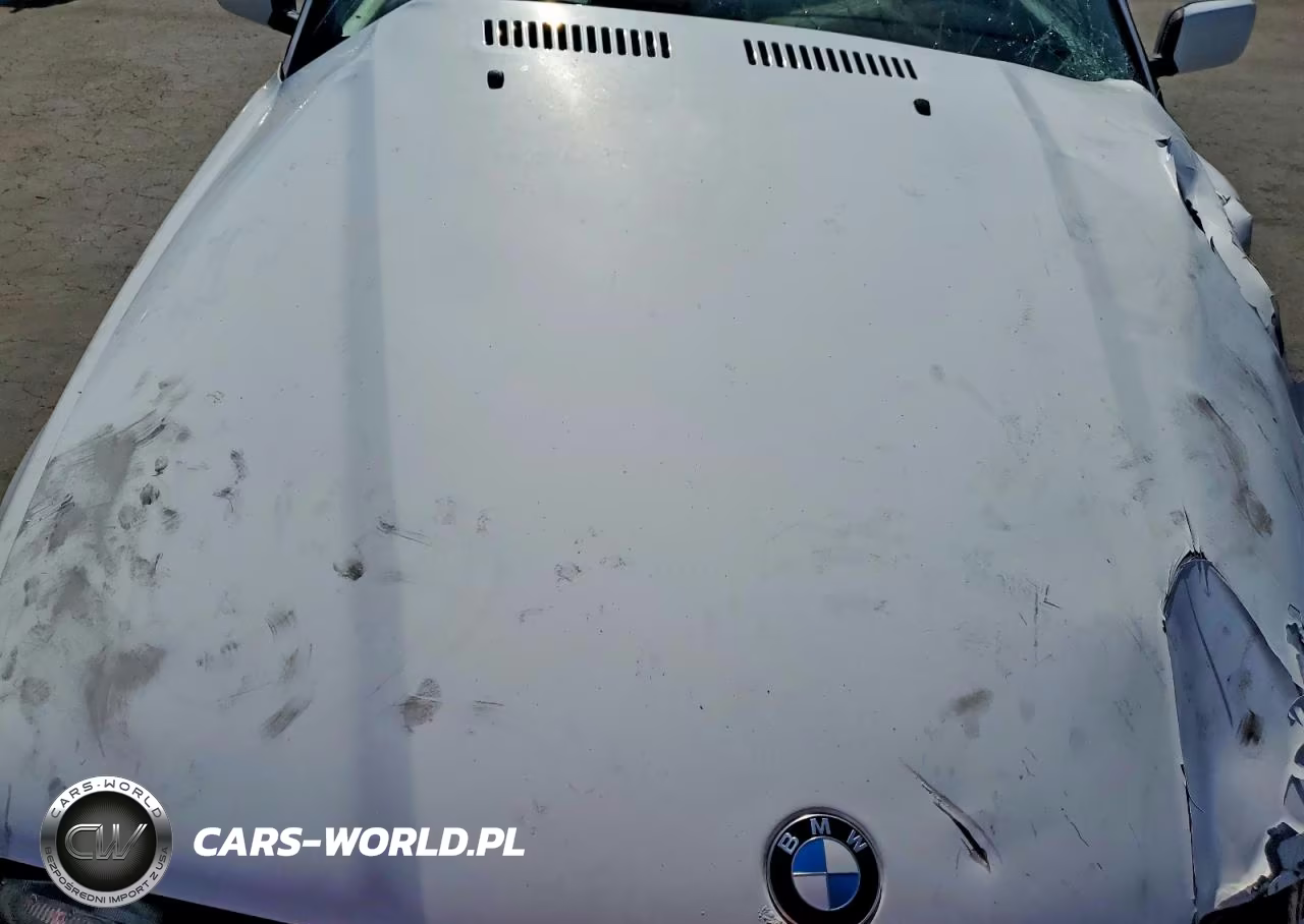 1994 BMW 318 Ic VIN:WBABK5327REC83302 - 11