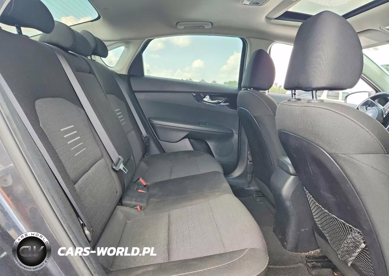 2019 Kia Forte S VIN:3KPF34AD3KE024829 - 10