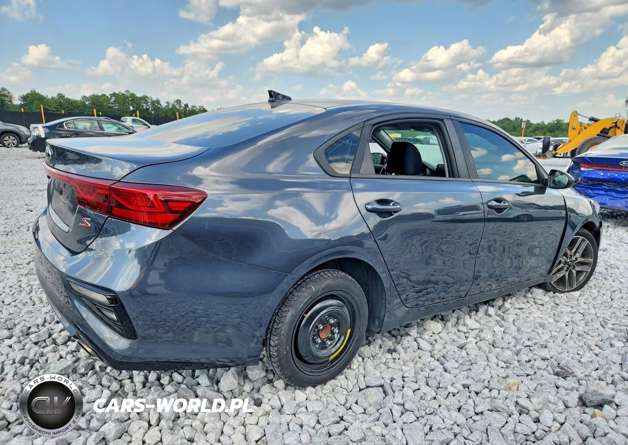 2019 Kia Forte S VIN:3KPF34AD3KE024829 - 3