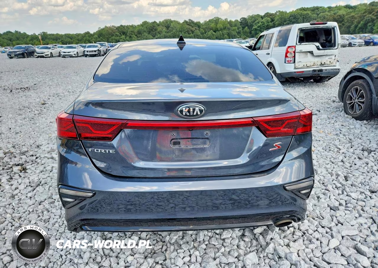 2019 Kia Forte S VIN:3KPF34AD3KE024829 - 6
