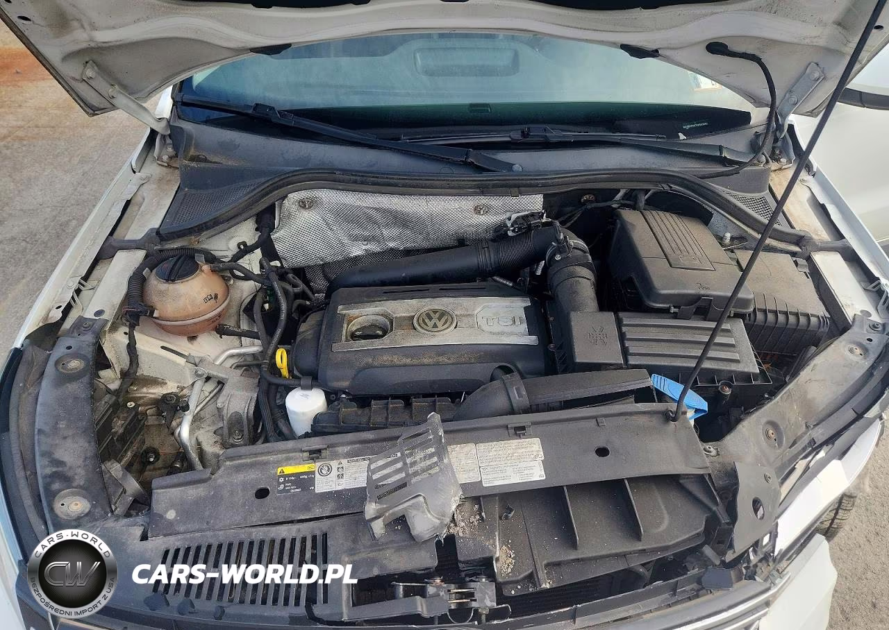 2015 Volkswagen Tiguan S VIN:WVGBV7AX7FW583943 - 12
