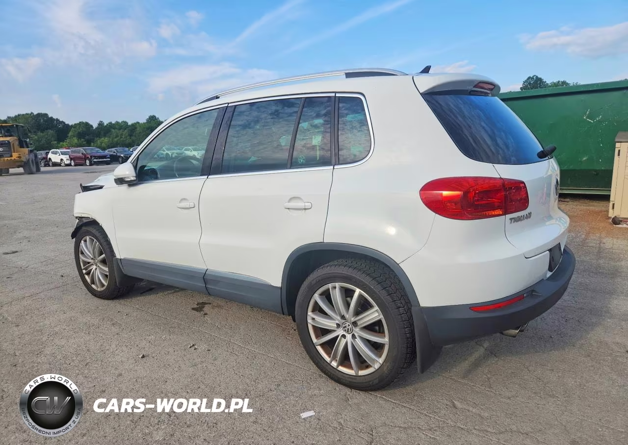 2015 Volkswagen Tiguan S VIN:WVGBV7AX7FW583943 - 2