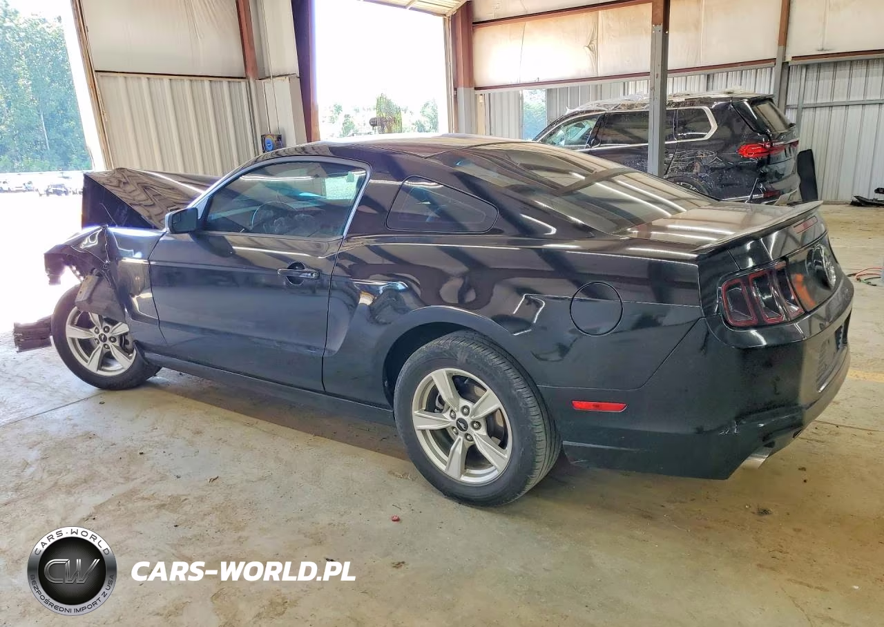 2014 Ford Mustang Base VIN:1ZVBP8AMXE5273457 - 2