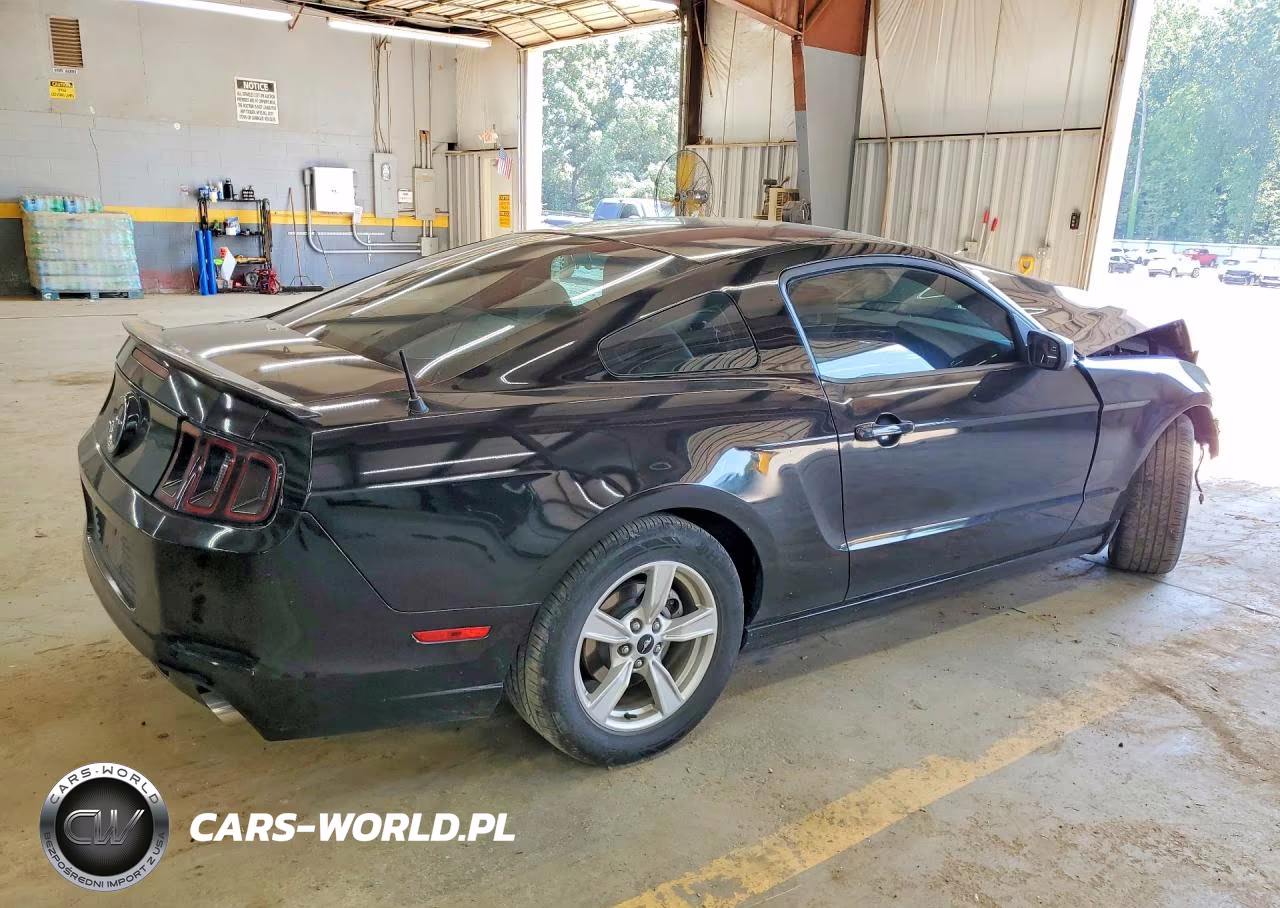 2014 Ford Mustang Base VIN:1ZVBP8AMXE5273457 - 3