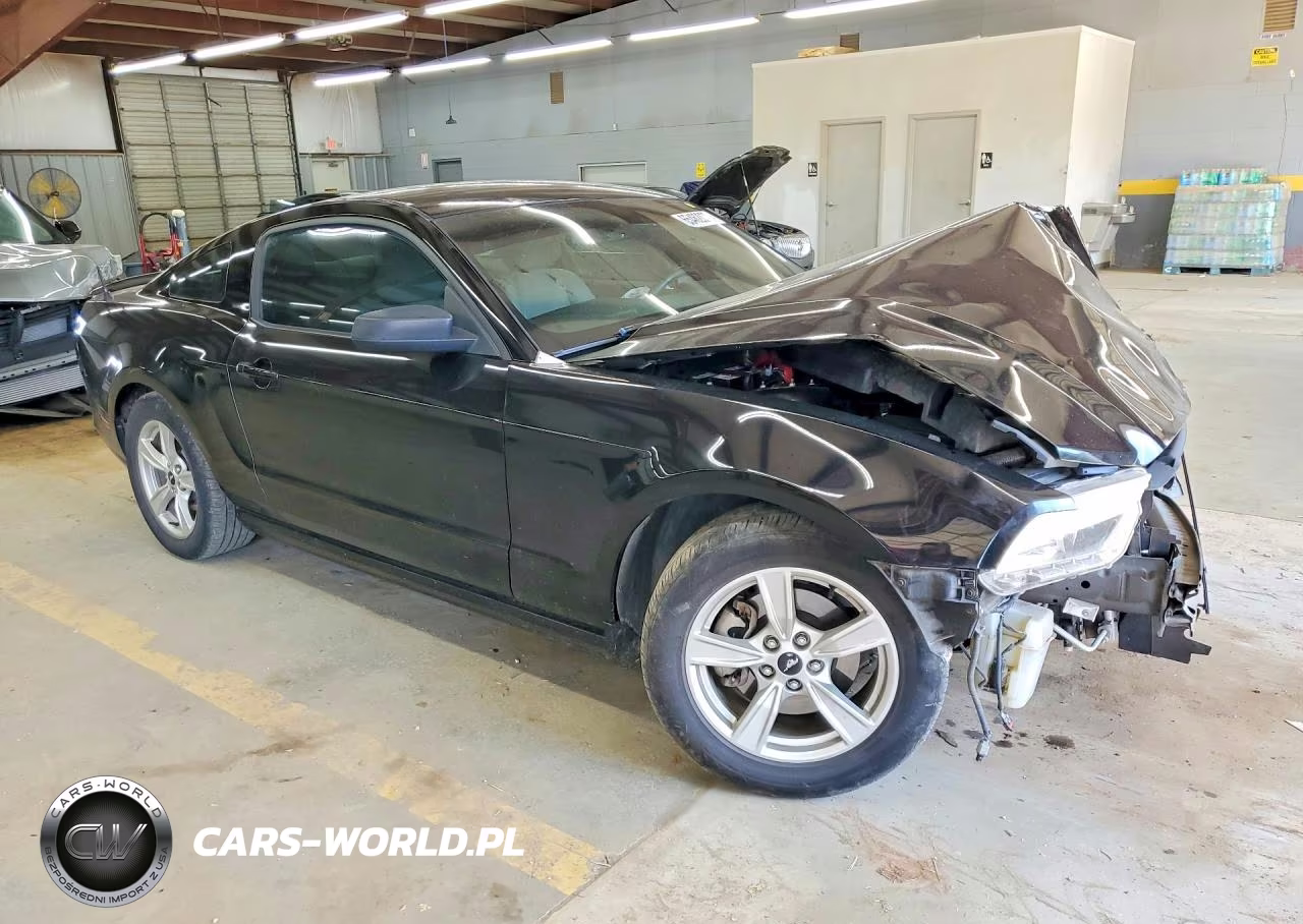 2014 Ford Mustang Base VIN:1ZVBP8AMXE5273457 - 4