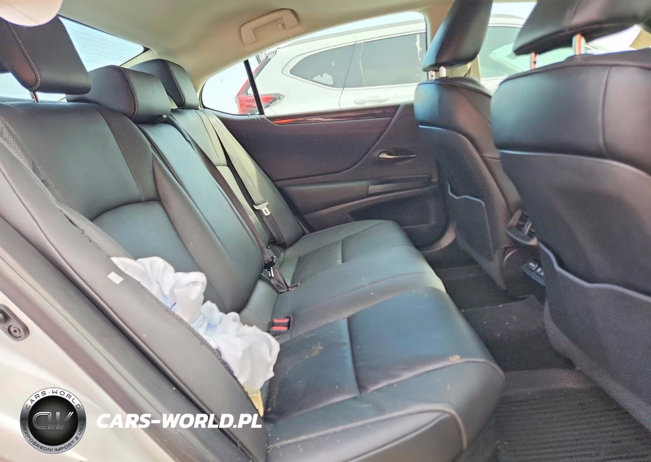 2020 Lexus Es 300H VIN:58AD21B17LU010193 - 10