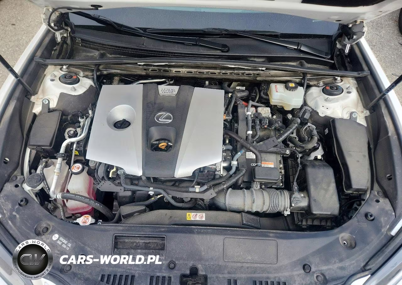 2020 Lexus Es 300H VIN:58AD21B17LU010193 - 11