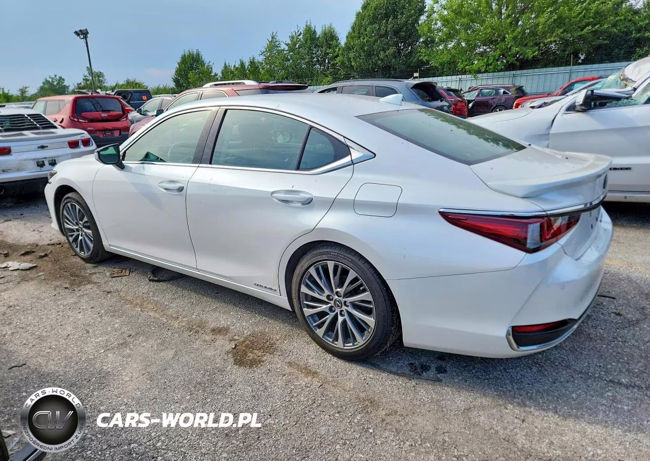 2020 Lexus Es 300H VIN:58AD21B17LU010193 - 2