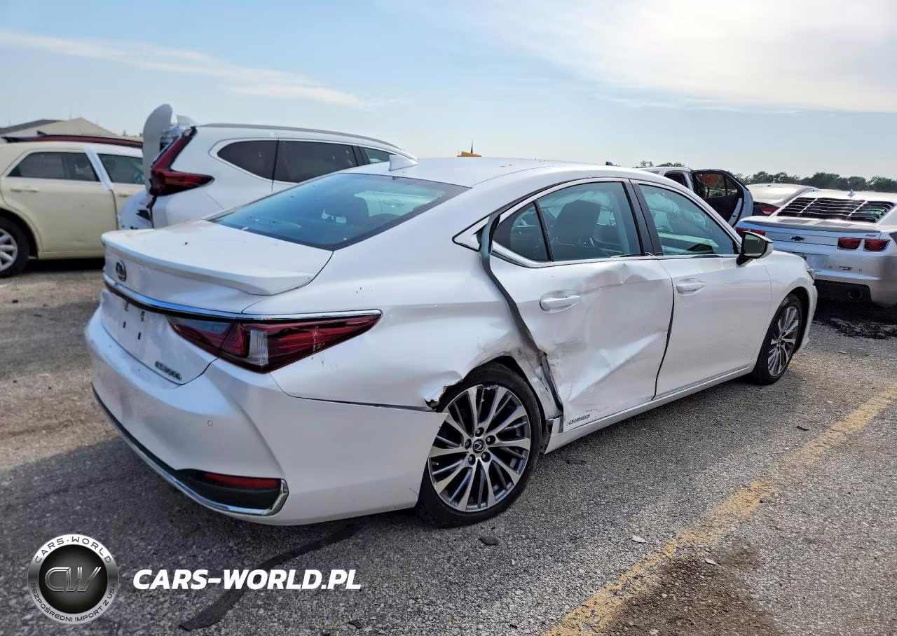 2020 Lexus Es 300H VIN:58AD21B17LU010193 - 3