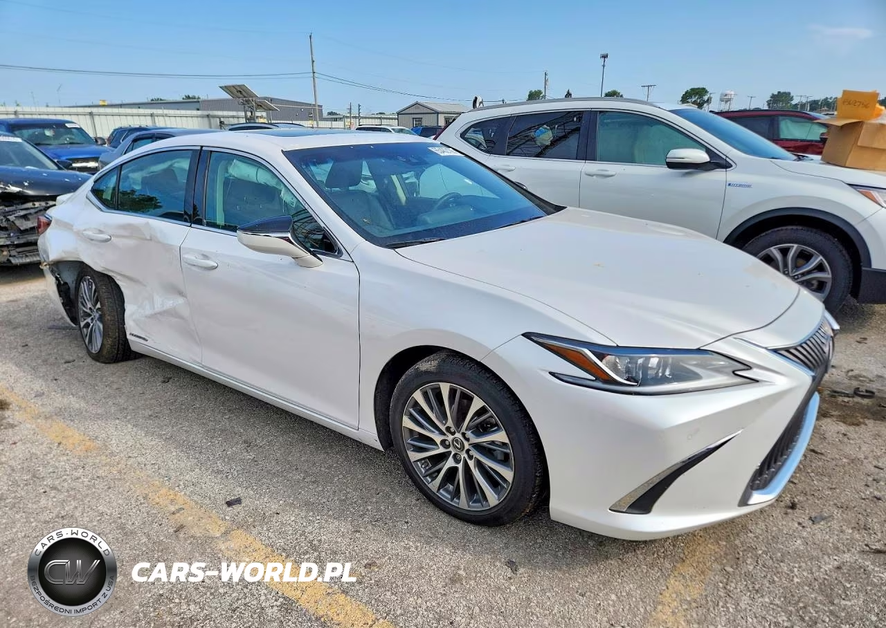 2020 Lexus Es 300H VIN:58AD21B17LU010193 - 4